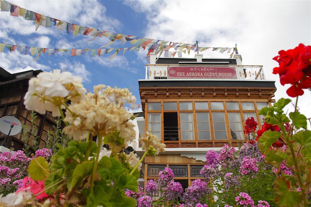 Готель Ashoka Ladakh Лех Екстер'єр фото